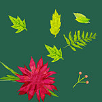 手绘 花纹 花朵
