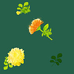 手绘 花纹 花朵