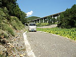 烟草公路