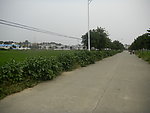 农村水泥路