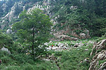 山野风景