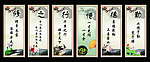 学校展板
