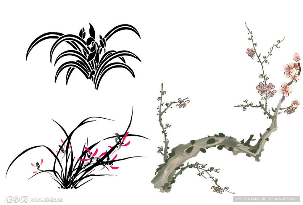 兰花 梅花