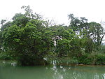 德保曼贝侬乡村风景