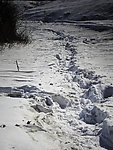 雪路