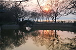 黄昏小景