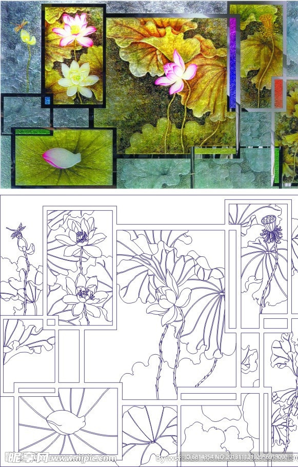 荷花 莲花