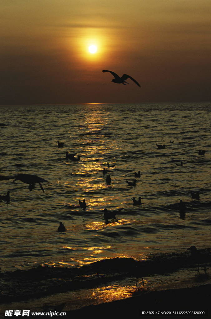 夕阳大海