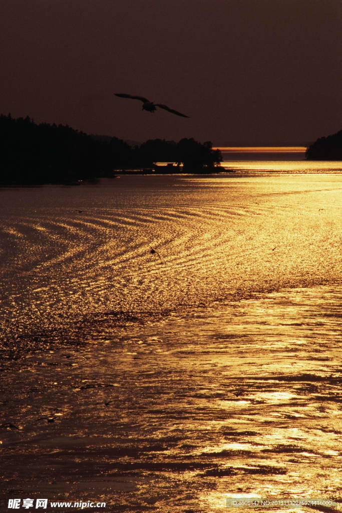 夕阳大海