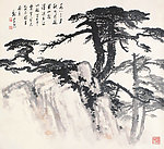 松树