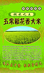 大米米砖胶贴