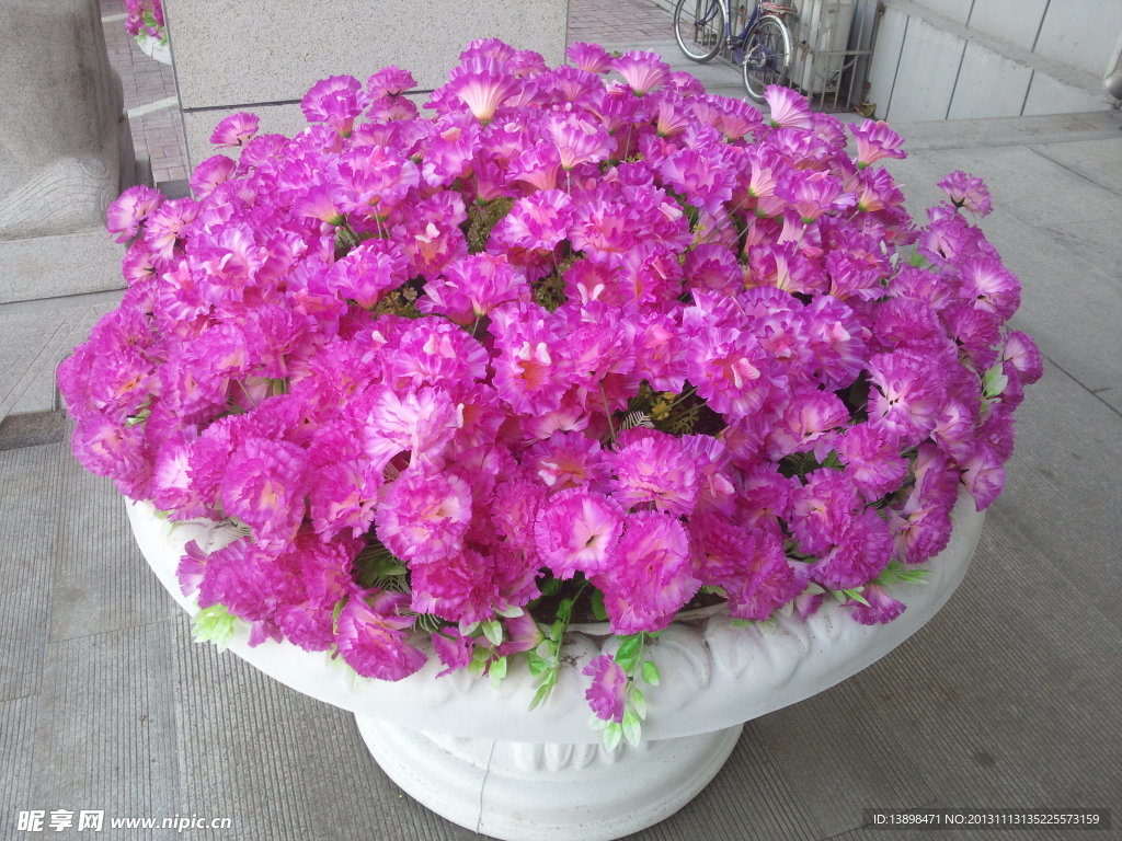 盆景花