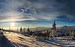 雪景