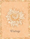 古典花纹 花朵