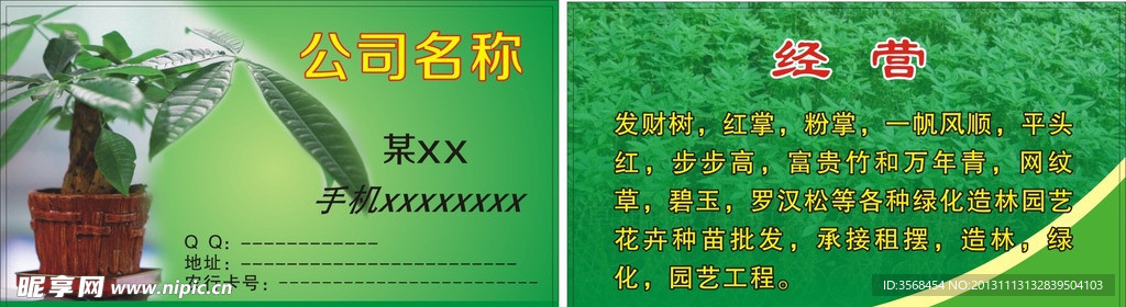 发财树名片
