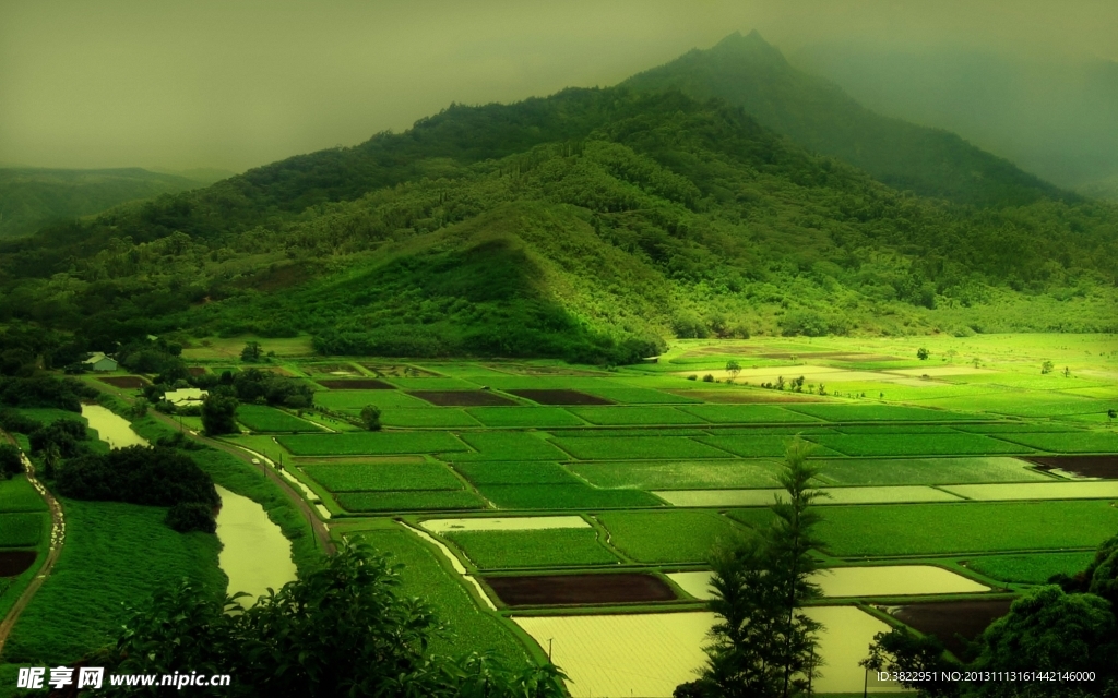 山水田园风景