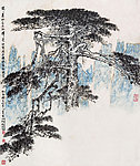 黑虎松