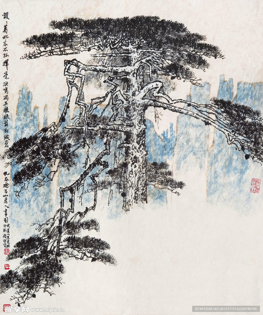 黑虎松