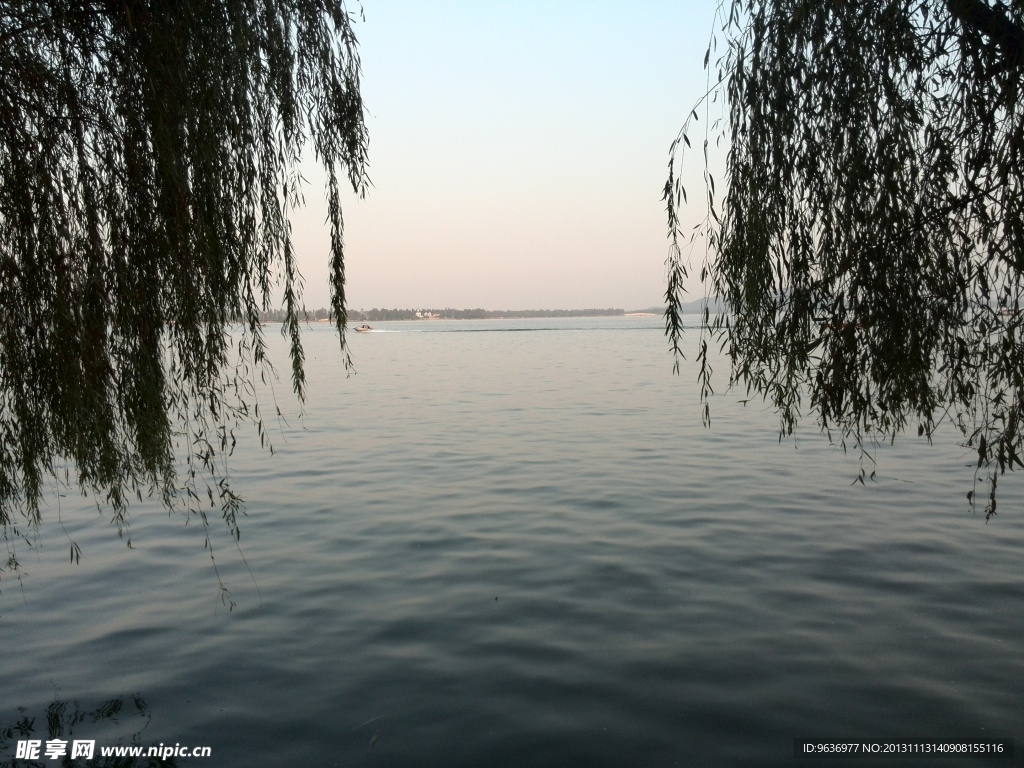 武汉东湖美景 垂柳