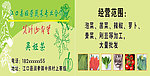 蔬菜名片
