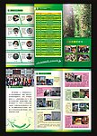 学校三折页