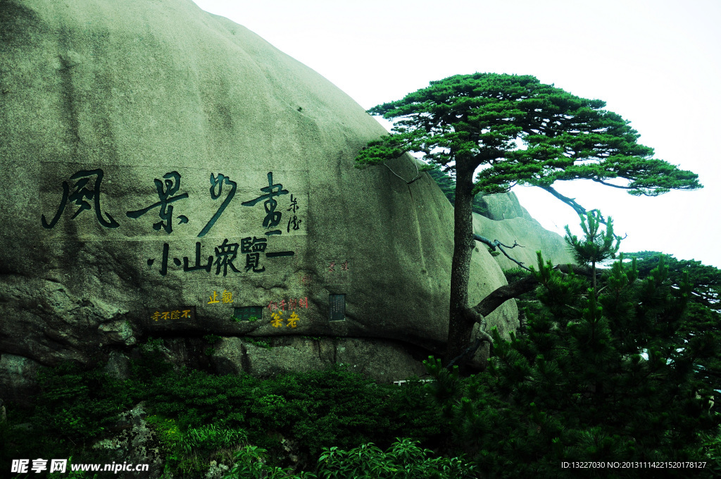 黄山迎客松