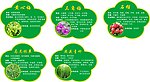 花牌 园林绿化牌