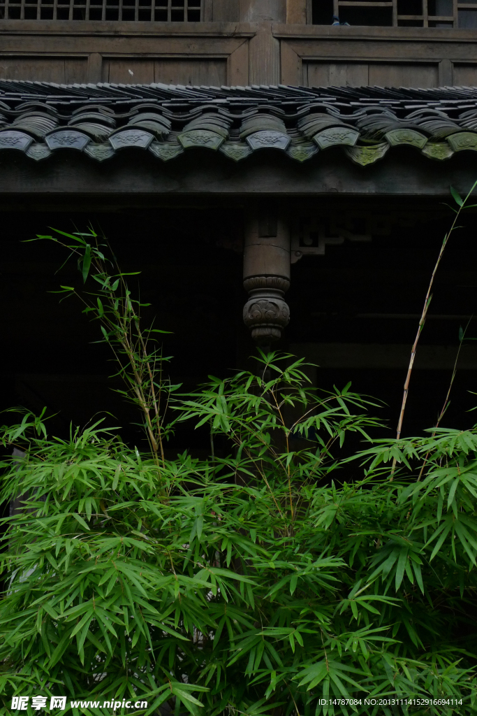 低檐静竹
