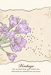 古典花纹 花朵