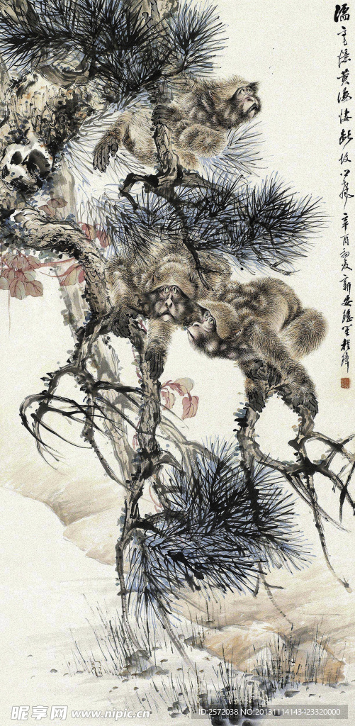 灵猴