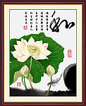 荷花素材下载