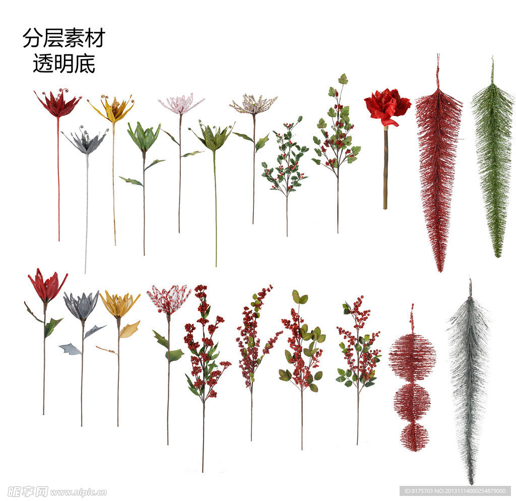 花朵