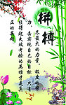 学校展板 学习