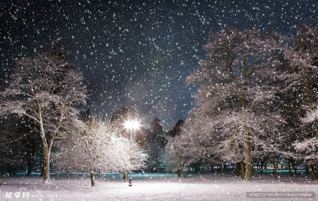 雪景