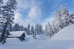 雪景