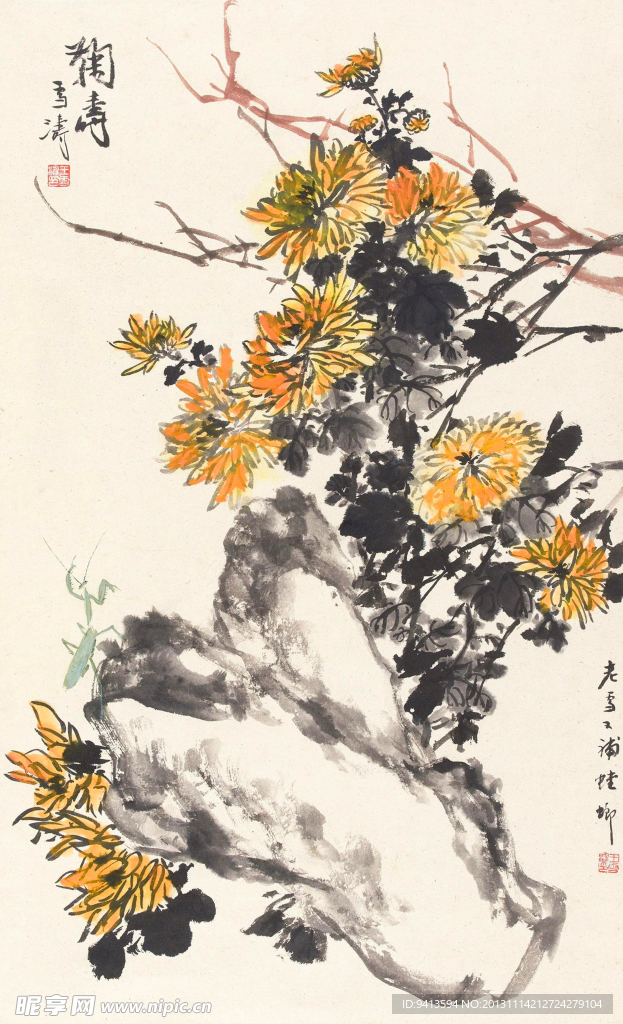 菊寿
