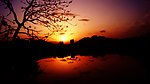 夕阳下的望江小区