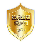 盾牌 保护 金盾