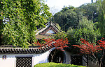 园林景观