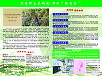 黑枸杞