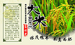 大米米砖胶贴