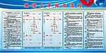 国税纳税流程版面