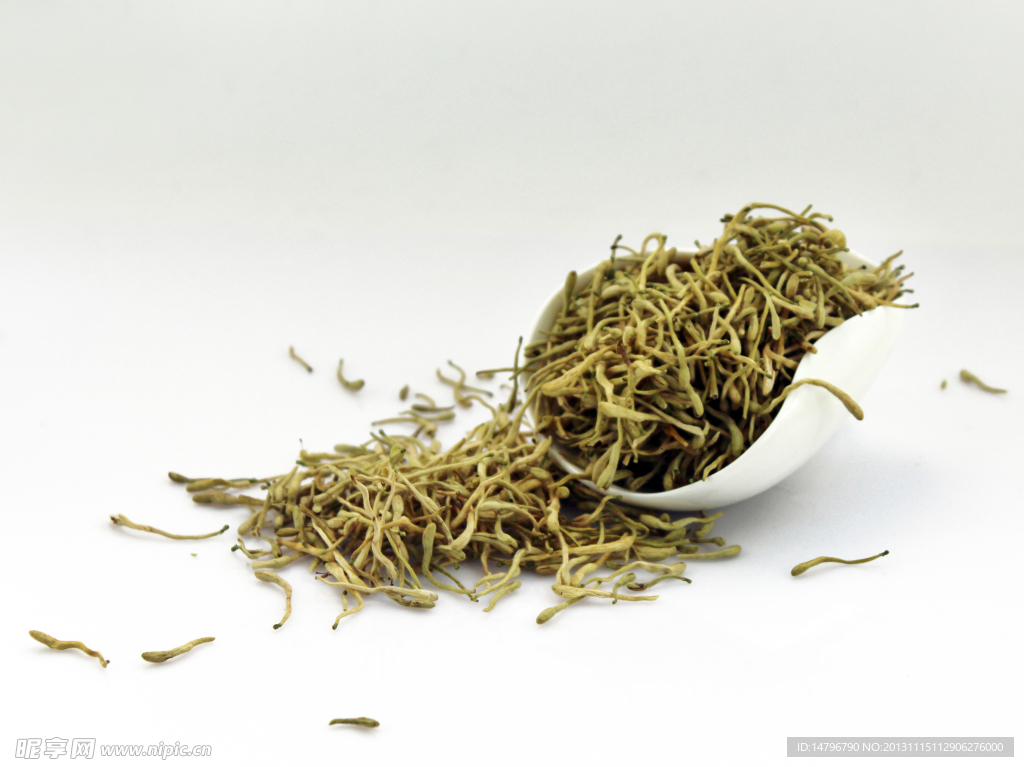 金银花