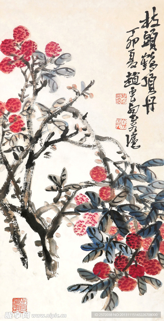 荔枝图
