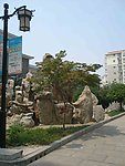 枫树