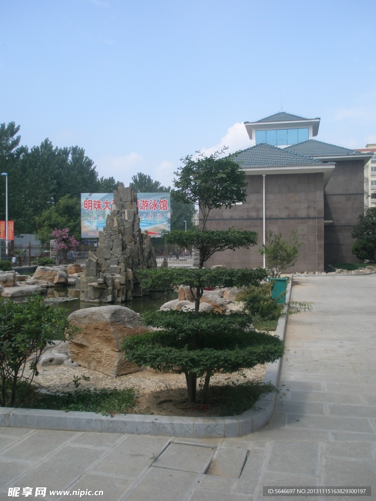 造型树