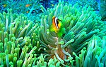 海底世界