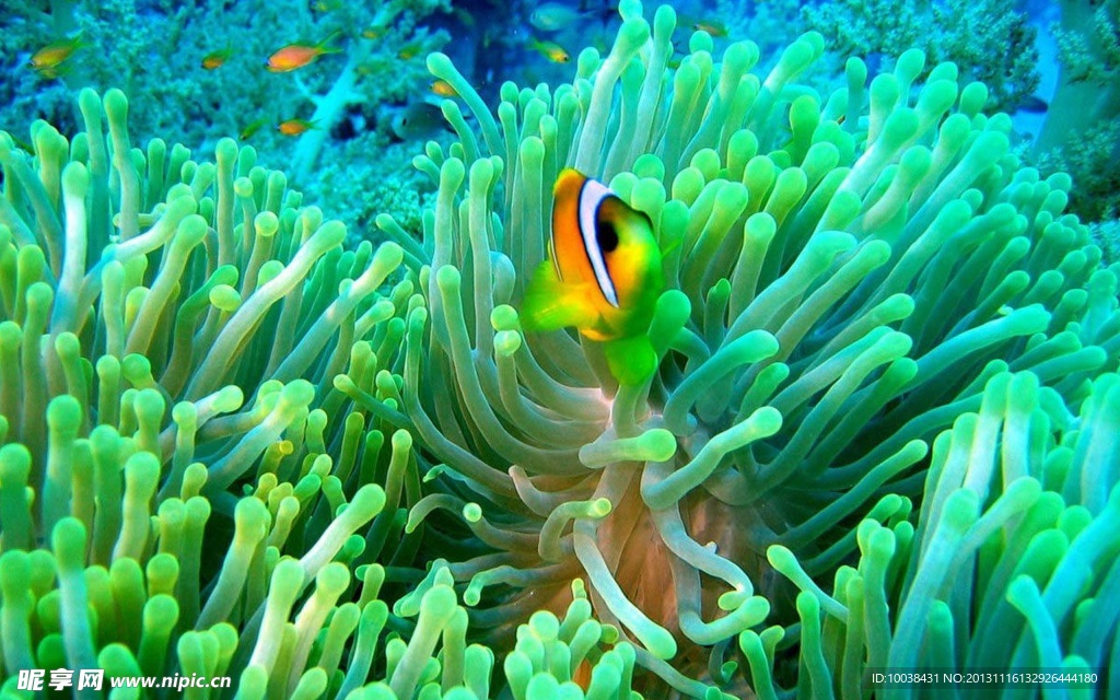 海底世界