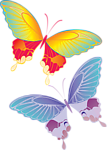 蝴蝶花纹
