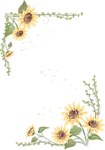 花卉边框